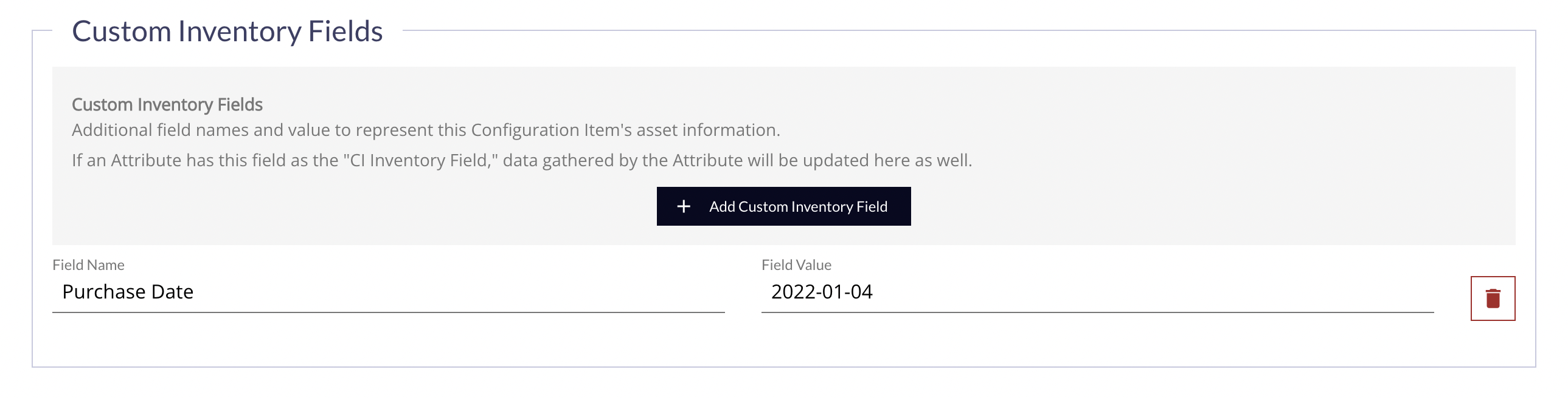 Custom Inventory Fields Panel Subsection